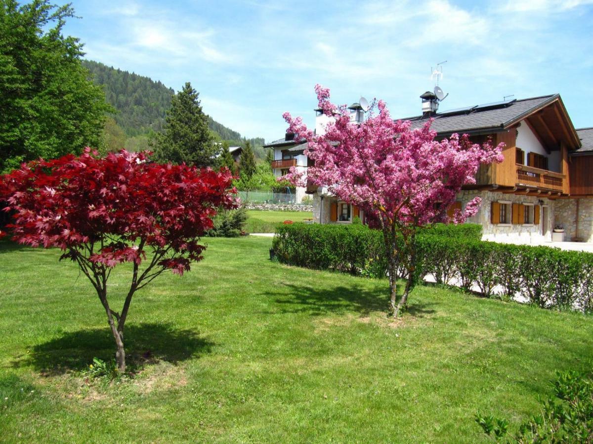 Ca'Milla B&B Nelle Dolomiti Pieve di Cadore Εξωτερικό φωτογραφία